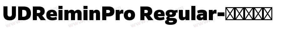 UDReiminPro Regular字体转换